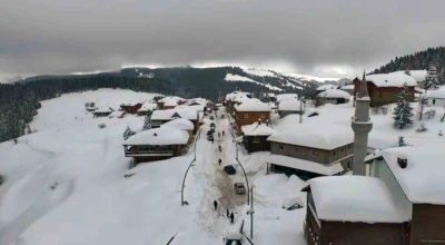 Giresun yaylalarında g&ouml;rsel ş&ouml;len
