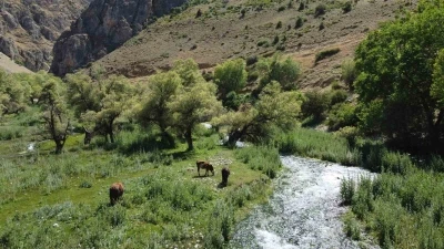 Girlevik Şelalesi’ne hayat veren gözeler, ziyaretçilerin uğrak yeri oldu
