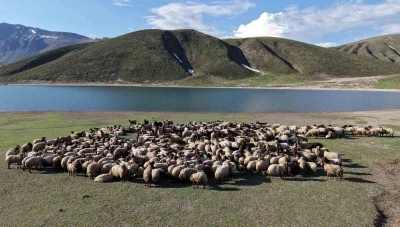 G&ouml;&ccedil;erler 5 aylık yayla sezonunu Bitlis&rsquo;te a&ccedil;tı
