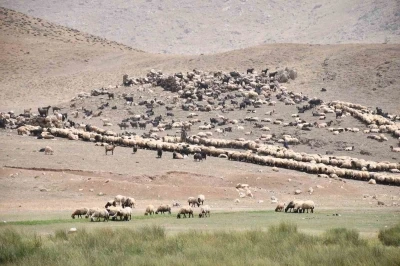 Göçerler yayladan inmeye başladı

