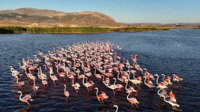 Göçmen kuşların uğrak noktasına can suyu
