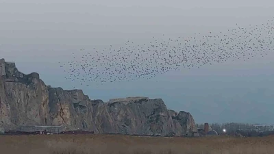 G&ouml;ky&uuml;z&uuml;nde dans: Van Kalesi&rsquo;nde sığırcık ş&ouml;leni
