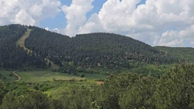 G&ouml;ky&uuml;z&uuml;nde pelikan ş&ouml;leni
