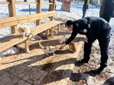 G&ouml;lbaşı il&ccedil;esinde polisler sokak hayvanları i&ccedil;in mama bıraktı
