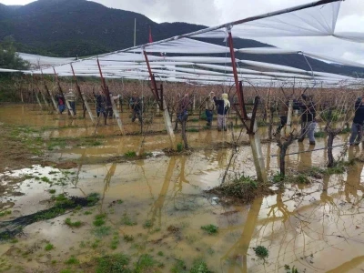 G&ouml;le d&ouml;nen bağlarda budama m&uuml;cadelesi
