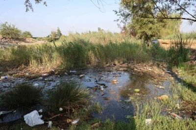 Göletler çöple doldu, muhtar isyan etti: &quot;Kirletecekseniz gelmeyin&quot;
