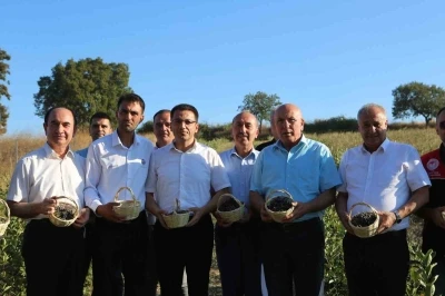 Gönen’de 2. aronya hasadı yapıldı
