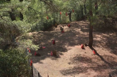 Gözpınar’da şehitler için anma töreni düzenlenecek
