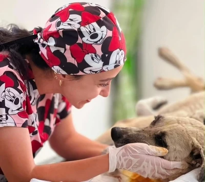 G&ouml;z&uuml;ne bağ &ccedil;ubuğu saplanan k&ouml;pek yeniden hayata tutundu
