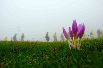 Gümüşhane’de 130 dağcı Çetlüce Yaylası’nda sis ve yağmur altında yürüdü

