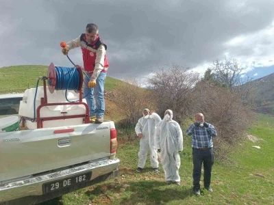 G&uuml;m&uuml;şhane&rsquo;de &ccedil;ekirge istilasına uğrayan k&ouml;yde ila&ccedil;lama &ccedil;alışması başlatıldı
