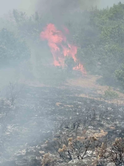 Gümüşhane’de çobanın yaktığı ateş yangına sebep oldu
