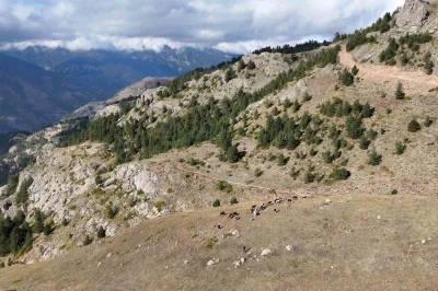 Gümüşhane’de genç muhtarın Türkiye’ye ilham veren başarı hikayesi
