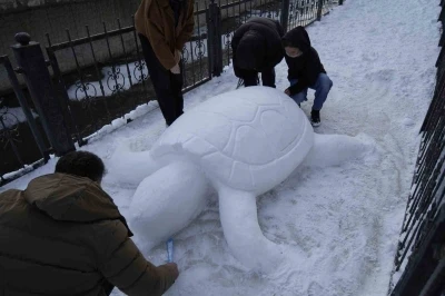 G&uuml;m&uuml;şhane&rsquo;de "kardan kaplumbağa" ilgi odağı oldu
