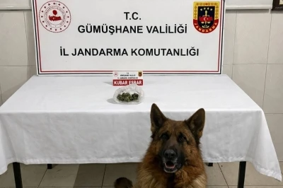 G&uuml;m&uuml;şhane&rsquo;de uyuşturucu operasyonu
