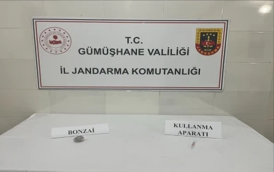 G&uuml;m&uuml;şhane&rsquo;de uyuşturucu operasyonunda 1 ş&uuml;pheli yakalandı
