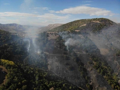 Gümüşhane’deki orman yangınında 30 hektar alan küle döndü
