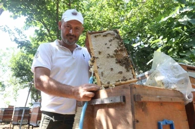 G&uuml;nler s&uuml;ren yağışlarla birlikte a&ccedil;an &ccedil;i&ccedil;ekler arıları sevindirirken bal hasadı y&uuml;z g&uuml;ld&uuml;rd&uuml;
