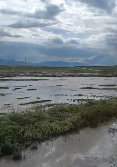 G&uuml;ny&uuml;z&uuml;&rsquo;de aşırı yağış sonucunda sel meydana geldi
