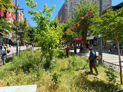 G&uuml;res Caddesi&rsquo;nde Bakım ve D&uuml;zenleme &Ccedil;alışması