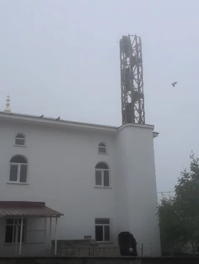 G&uuml;vercin yuvası minare yıkımını erteledi
