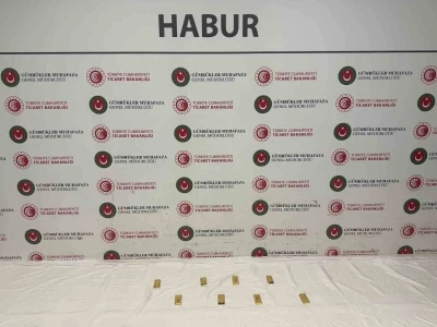 Habur&rsquo;da tırda yapılan aramada, yaklaşık 14.6 milyon liralık altın ele ge&ccedil;irildi

