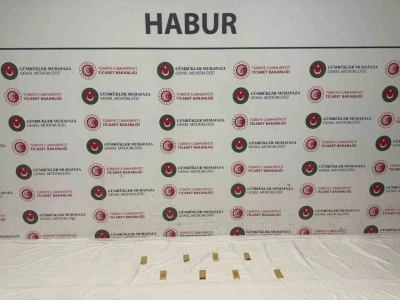 Habur&rsquo;da tırda yapılan aramada, yaklaşık 14.6 milyon liralık altın ele ge&ccedil;irildi