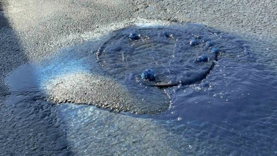 Hadımköy’de kanalizasyondan mavi atık su taştı
