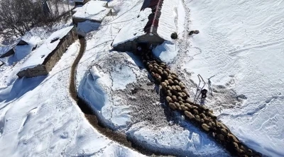 Hakkari&rsquo;de 1 bu&ccedil;uk metreyi aşan karda &ccedil;ift&ccedil;ilerin zorlu mesaisi s&uuml;r&uuml;yor
