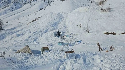 Hakkari&rsquo;de 32 arı kovanı &ccedil;ığ altında kaldı
