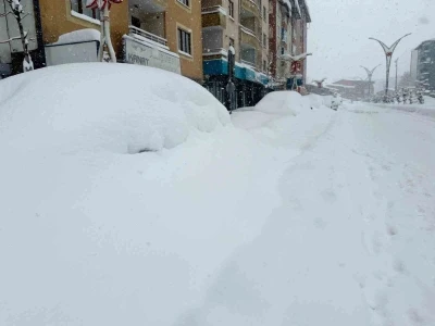 Hakkari&rsquo;de 357 yerleşim yerinin yolu kapandı
