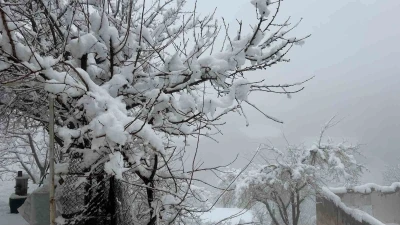 Hakkari&rsquo;de 82 yerleşim yerinin yolu kapandı
