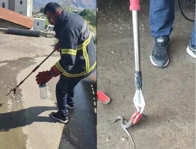 Hakkari&rsquo;de aracın motor b&ouml;lmesine giren yılan &ccedil;ıkarıldı
