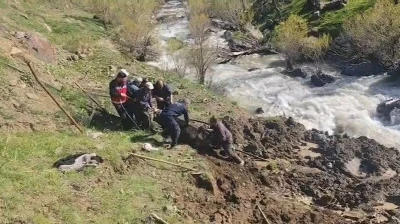 Hakkari&rsquo;de bataklığa saplanan inek kurtarıldı
