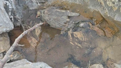 Hakkari’de gizemli kükürt vadisi: İnsanlara şifa, hayvanlara ölüm
