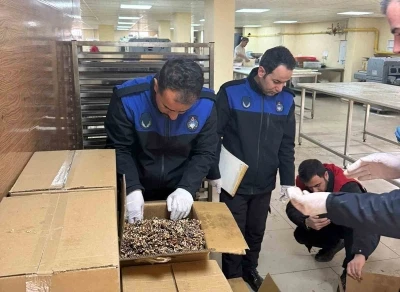 Haliliye&rsquo;de 180 kilogram k&uuml;flenmiş ceviz ele ge&ccedil;irildi
