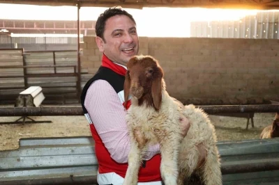 Haliliye’de hayvancılığın geliştirilmesi çalışmaları sürüyor
