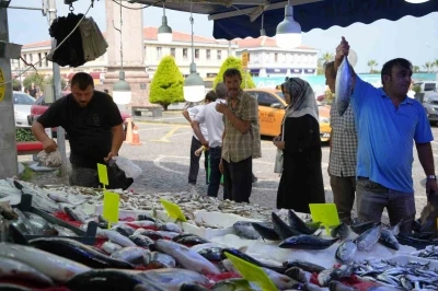 Hamsi için geri sayım başladı: Balıkçılar yolunu gözlüyor
