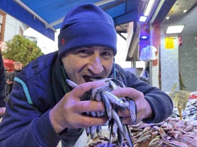 Hamsi reva&ccedil;ta
