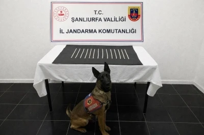 Harran&rsquo;da uyuşturucu operasyonu: 2 g&ouml;zaltı
