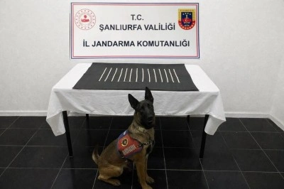 Harran&rsquo;da uyuşturucu operasyonu: 2 g&ouml;zaltı