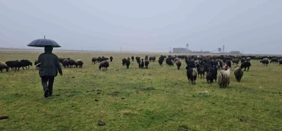 Hasköy’de sıcaklığın mevsim normalleri üzerinde olması besicileri sevindirdi
