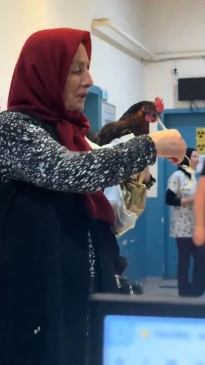 Hastanede ’tavuk’ operasyonu
