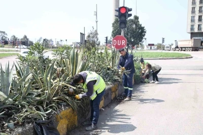 Hatay B&uuml;y&uuml;kşehir Belediyesi bitkide dışa bağımlılığı en aza indirmeyi hedefliyor
