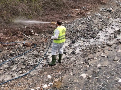 Hatay B&uuml;y&uuml;kşehir Belediyesi haşereyle m&uuml;cadele &ccedil;alışmalarına devam ediyor
