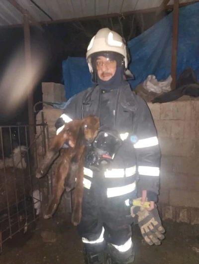 Hatay&rsquo;da ahırda korkutan yangın

