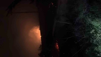 Hatay’da çıkan  otluk yangını söndürüldü
