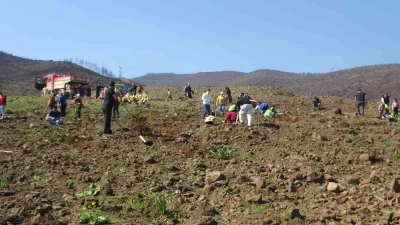 Hatay&rsquo;da orman yangınından zarar g&ouml;ren alanlarda 5 bin fidan toprakla buluşturuldu
