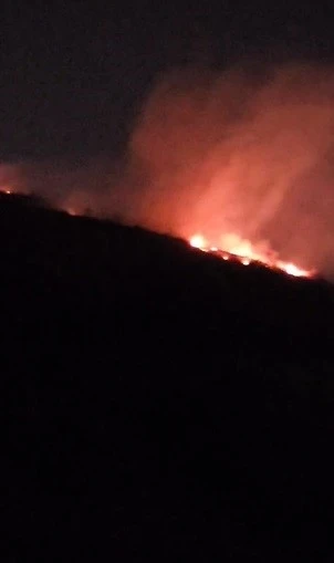 Hatay’da ormanlık alanda çıkan yangın büyümeden söndürüldü
