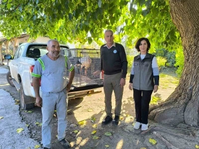 Hatay’da yaralı leylek tedavi altına alındı
